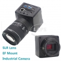 4K IMX283 60FPS HDMI USB WIFI Network EF-Mount Auto Focus Industry Microscope Camera with EF-Mount SLR Lens