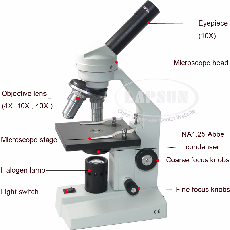 Fine Focus Knob Microscope Function Micropedia