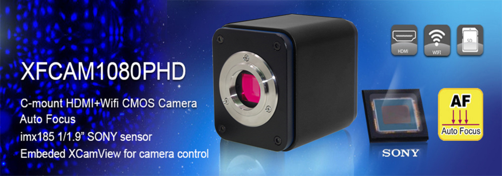 LS-DV1045-7